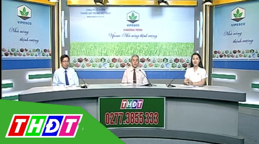 Tư vấn khuyến nông - 29/12/2018: Phòng trừ sâu bệnh lúa Đông Xuân