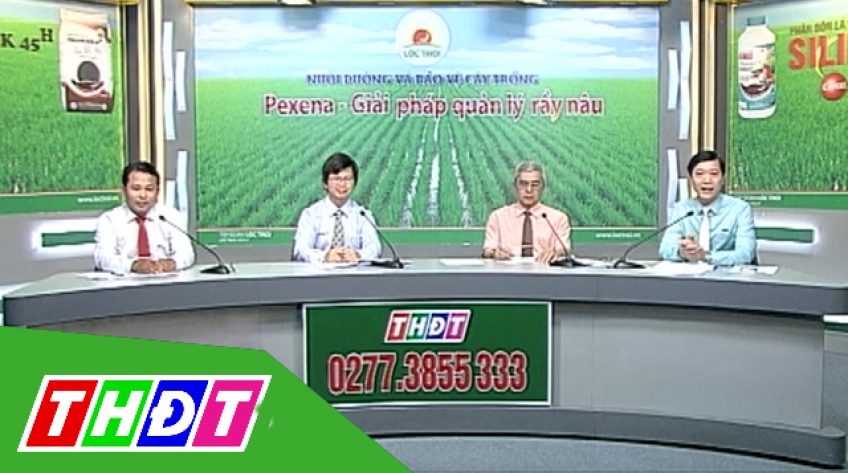 Tư vấn khuyến nông - 29/12/2018: Pexena - Giải pháp quản lý rầy nâu