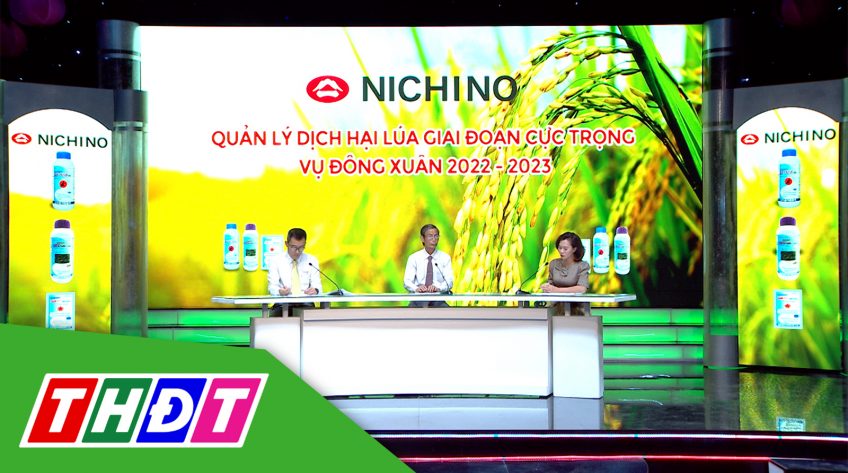 Tư vấn Khuyến nông - 8/1/2023 - Quản lý dịch hại lúa giai đoạn cực trọng vụ Đông Xuân