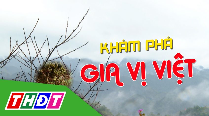 Ký sự khám phá gia vị Việt - 15/4/2023 - Tập 9: Tỏi tía cô đơn