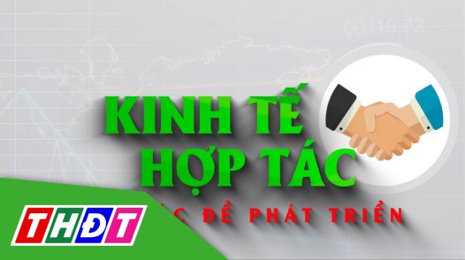 Kinh tế hợp tác - 10/02/2025: Đào tạo nhân sự quản lý HTX, chìa khóa cho phát triển bền vững