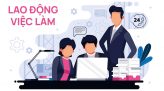 Lao động và việc làm – 22/01/2025