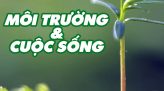 Môi trường và cuộc sống - 01/02/2025: Phía sau không gian sạch đẹp ngày Tết