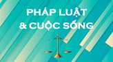 Pháp luật và cuộc sống - 16/12/2021: Những điều cần biết về kêu gọi từ thiện