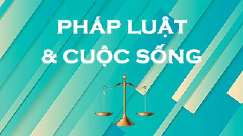 Pháp luật và cuộc sống - 16/12/2021: Những điều cần biết về kêu gọi từ thiện