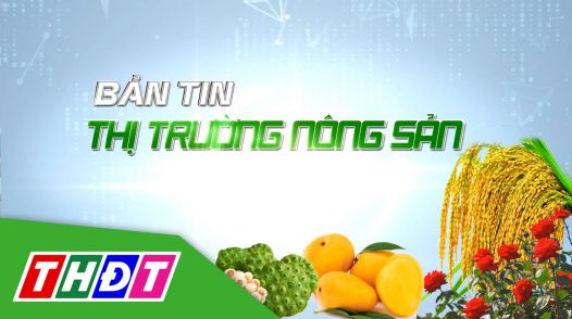 Bản tin thị trường nông sản - 09/12/2024: Đảm bảo nguồn cung sản phẩm chăn nuôi dịp tết