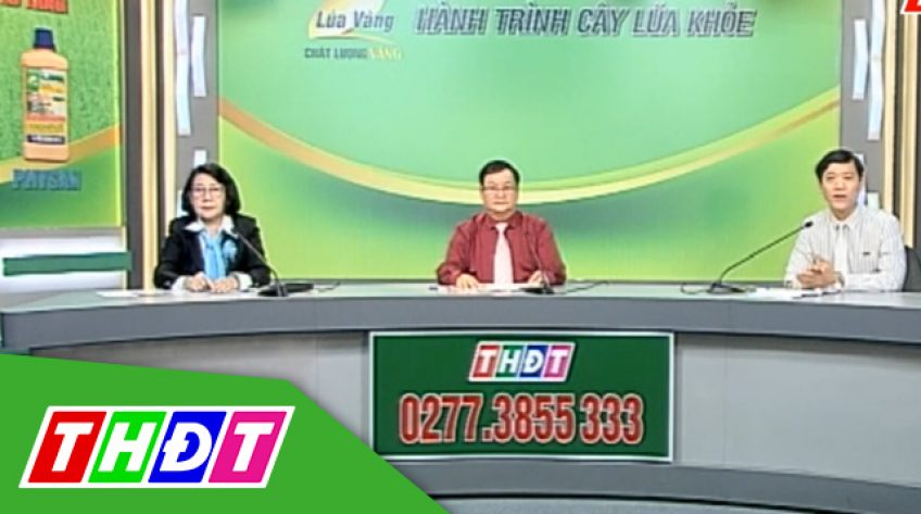 Khuyến nông: Hành trình cây lúa khỏe - 13/12/2018