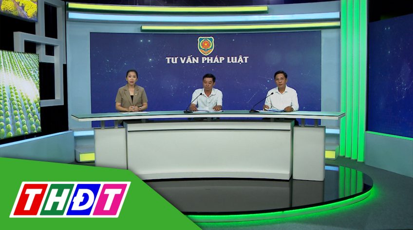 Tư vấn pháp luật - 22/7/2024 - Những thay đổi về BHXH, BHYT và tiền lương khi tăng lương cơ sở