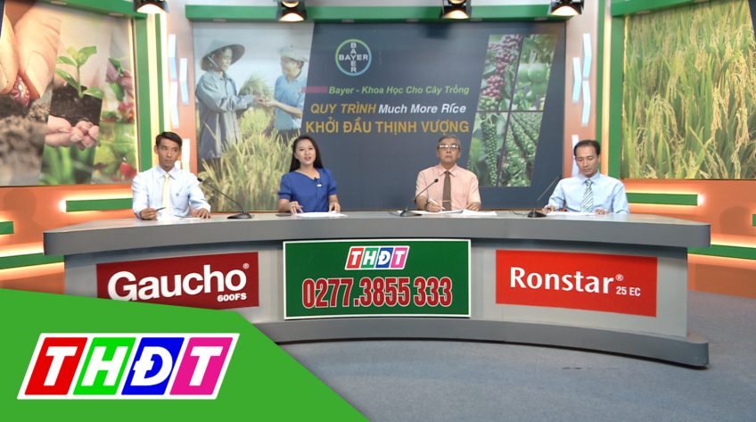 Khuyến nông - 20/7/2020 - Quy trình Much More Rice khởi đầu thịnh vượng