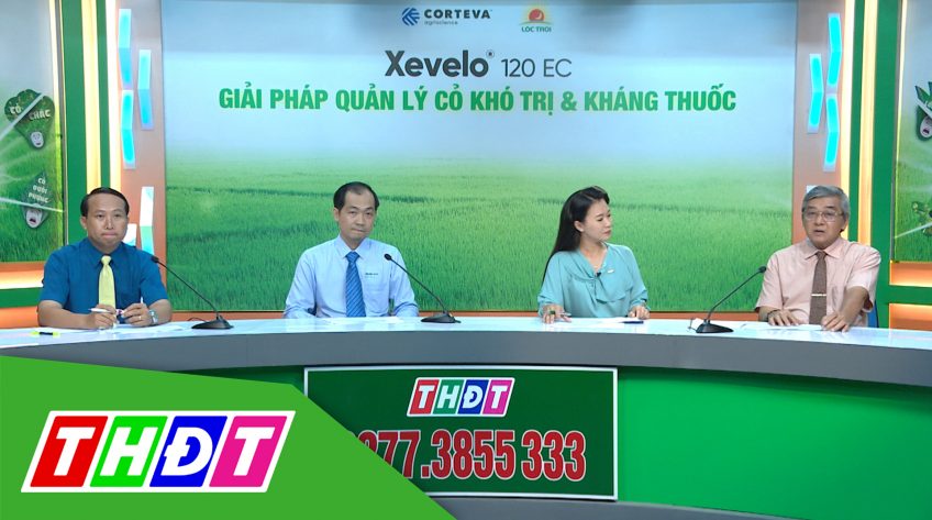 Tư vấn Khuyến nông - 16/11/2020 - Giải pháp quản lý cỏ khó trị và kháng thuốc