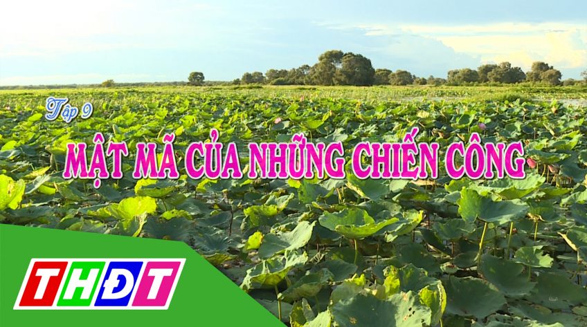 Ký sự Mật mã Đồng Tháp Mười - Tập 9: Mật mã của những chiến công