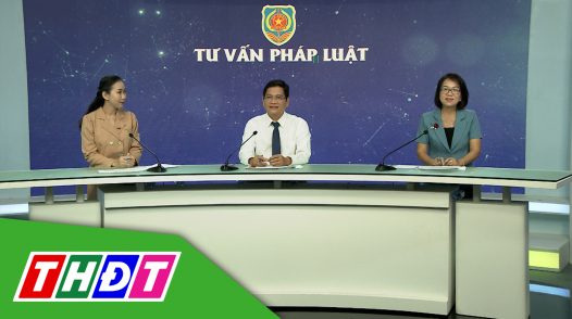 Tư vấn pháp luật - 25/11/2024 : Những điều cần biết về đăng ký kinh doanh và hỗ trợ pháp lý cho doanh nghiệp vừa và nhỏ